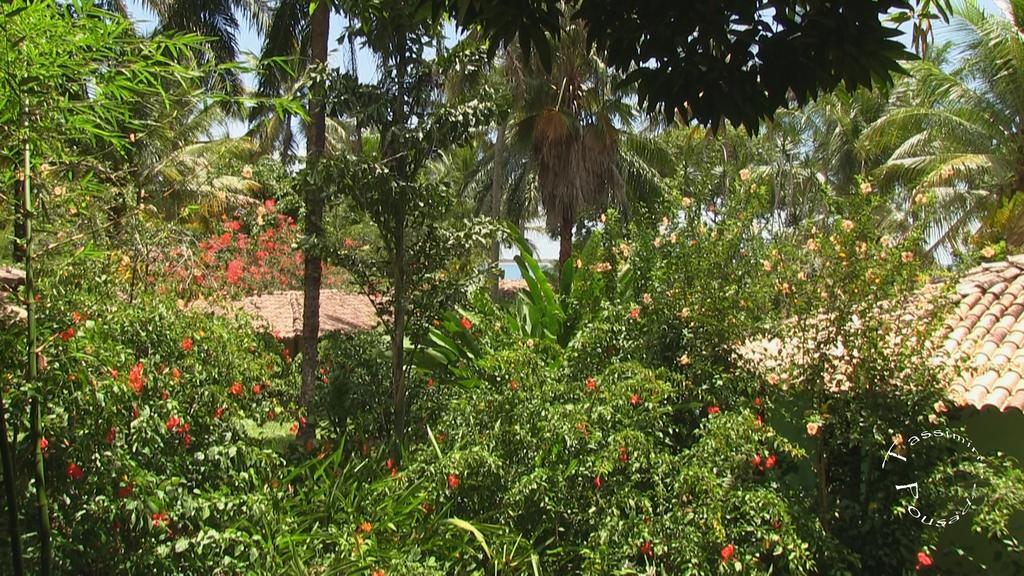 Pousada Tassimirim Velha Boipeba Экстерьер фото